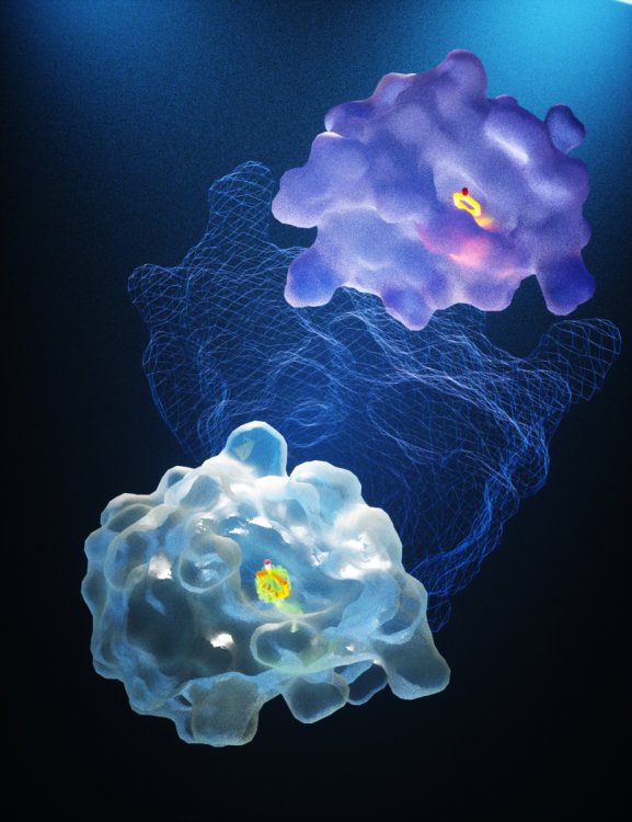 Synthelis : le « cell-free », une technologie rapide pour produire des protéines !