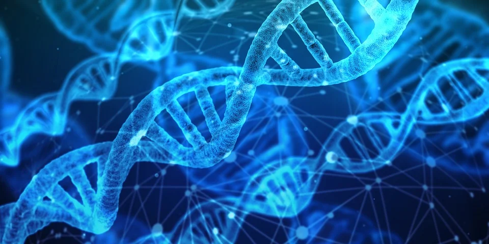 PearCode : stocker les données sur de l’ADN synthétique