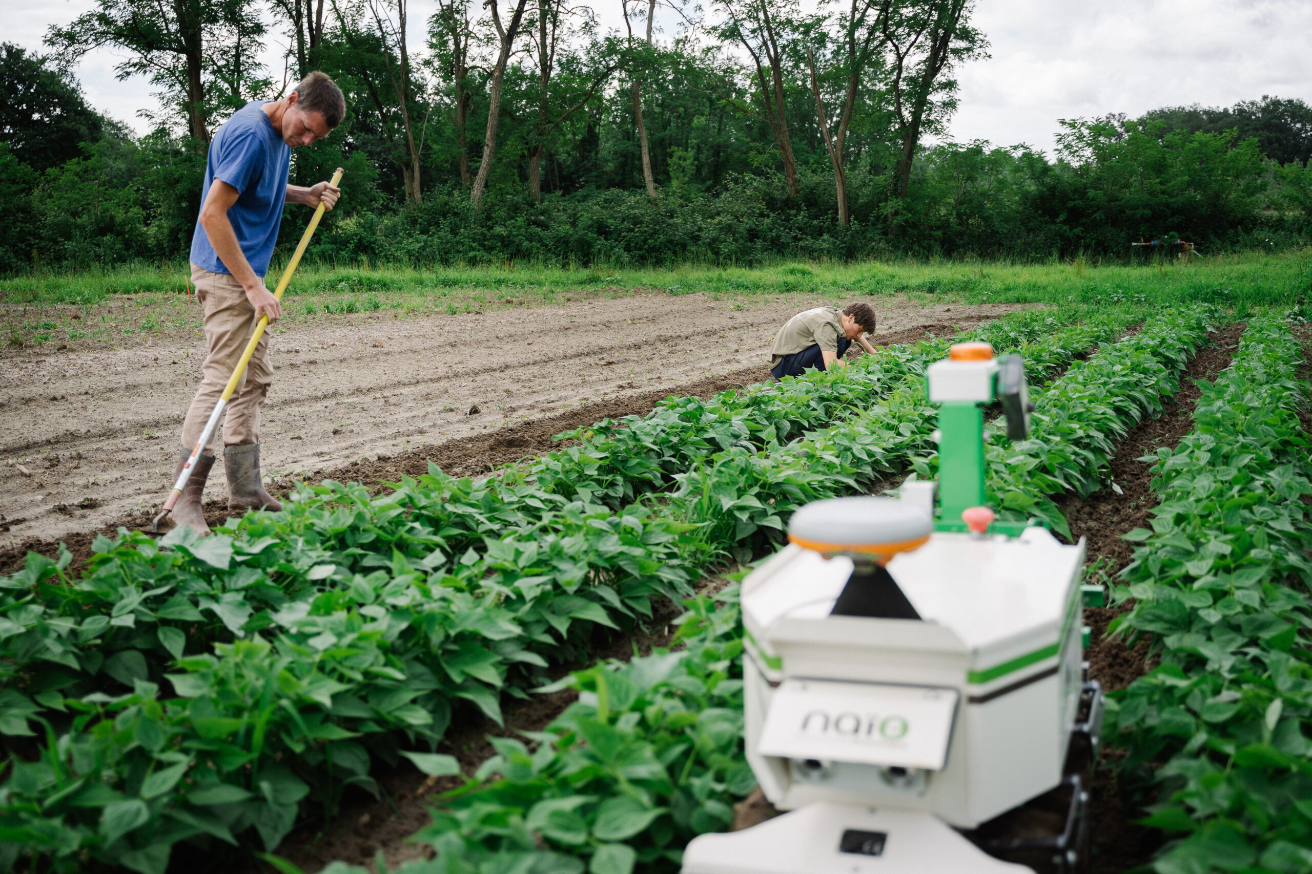 Naïo Technologies : des robots autonomes et électriques au service de l’agriculture