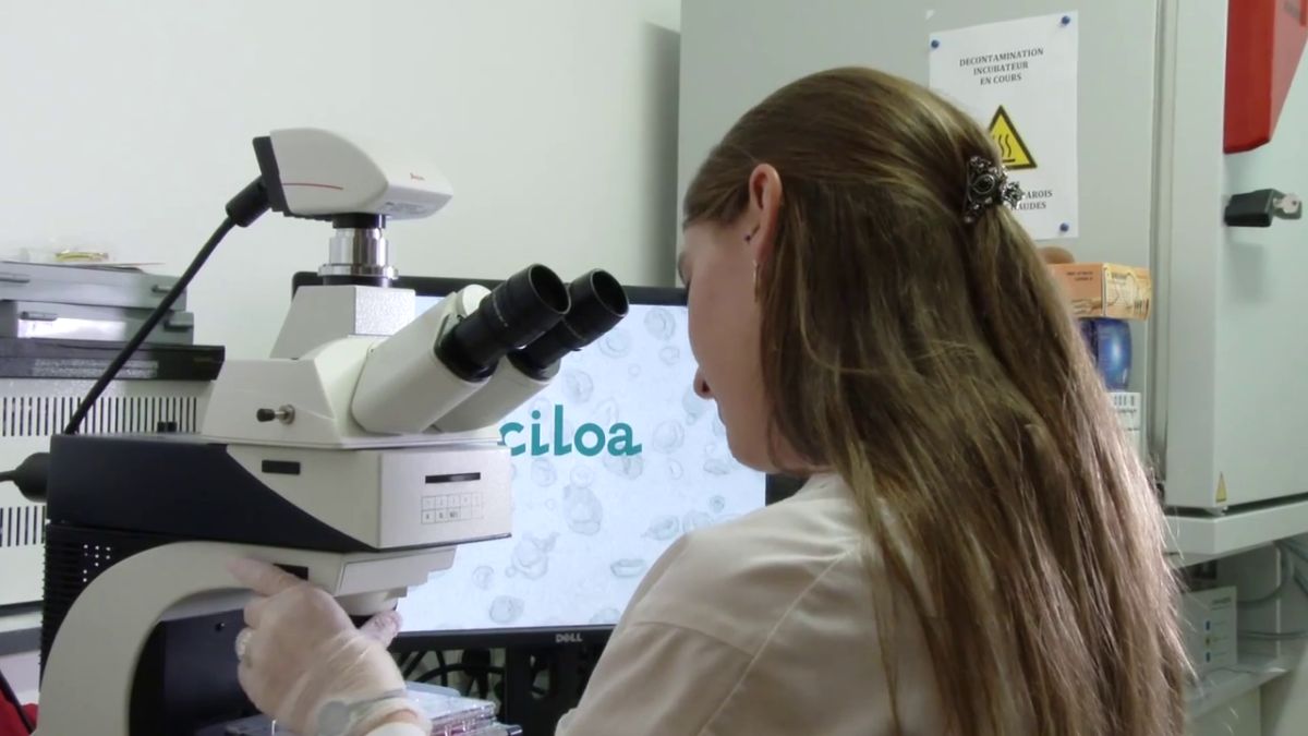 Ciloa : un traitement anti-obésité et anti-diabète grâce aux exosomes