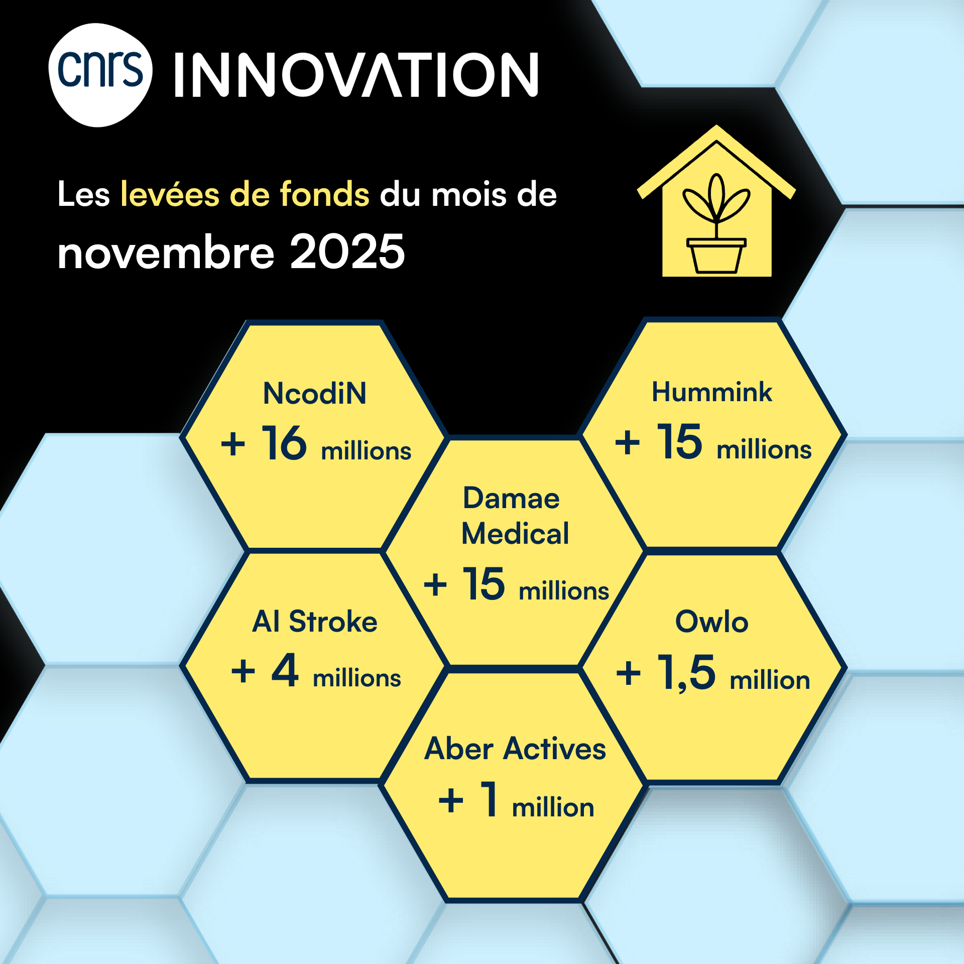 Les levées de fonds du mois de novembre 2025